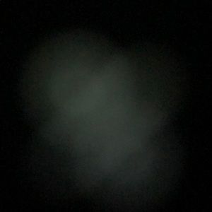 Meet your Posher, Asha